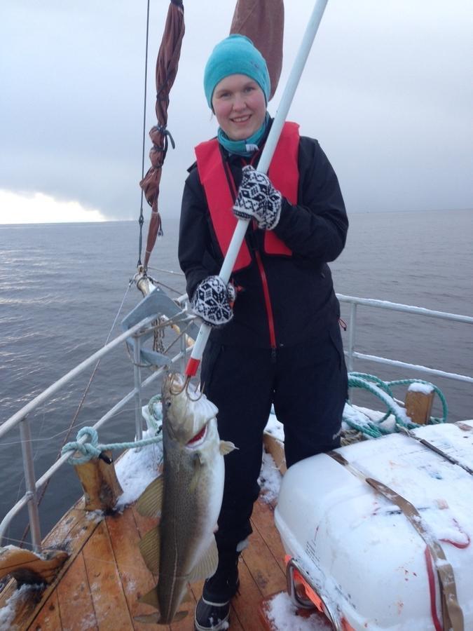 Elvegard Fjordcamp 호텔 Grov 외부 사진